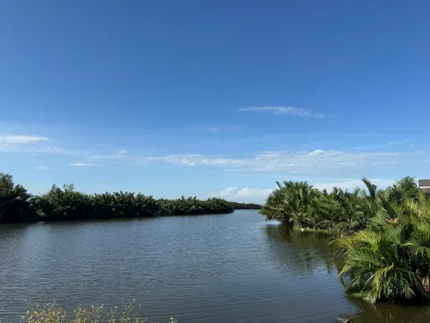 HÀNG HIẾM: Bán Đất Mặt Tiền View Sông Và View Làng Rau Trà Quế Cực Hiếm Tại Hội An - Diện Tích 125m Cực Đẹp (MS579)